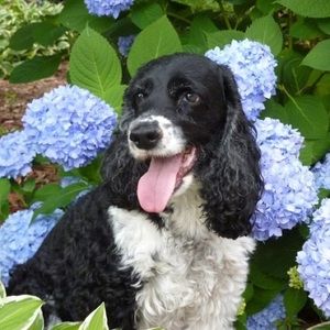 Meet your Posher, Lauri